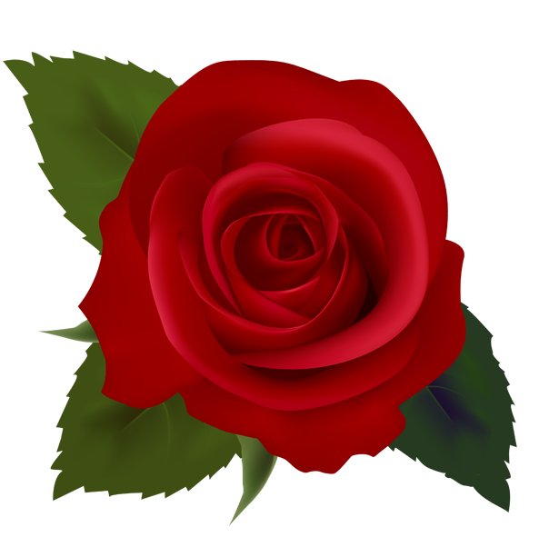 free roses clip art download free clip art free clip art on clipart library clipart library