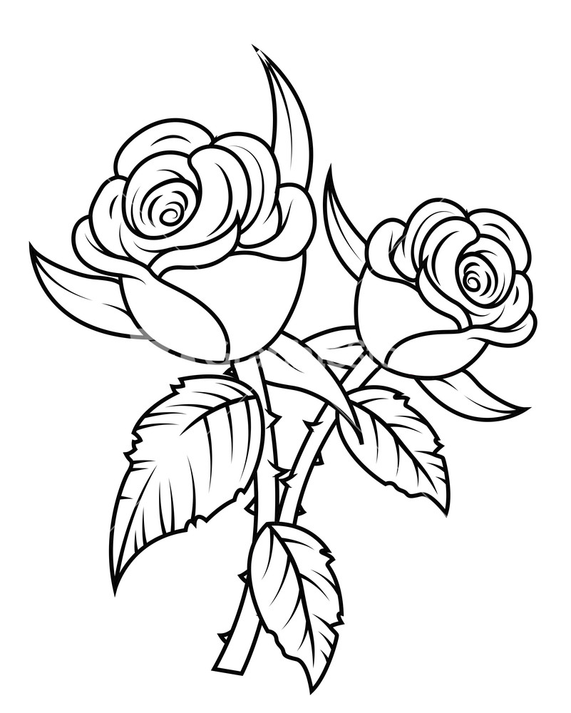 Free Roses Clip Art, Download Free Roses Clip Art png images, Free