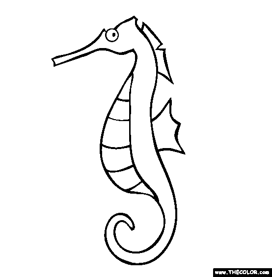 Seahorse clipart black and white free clipart images