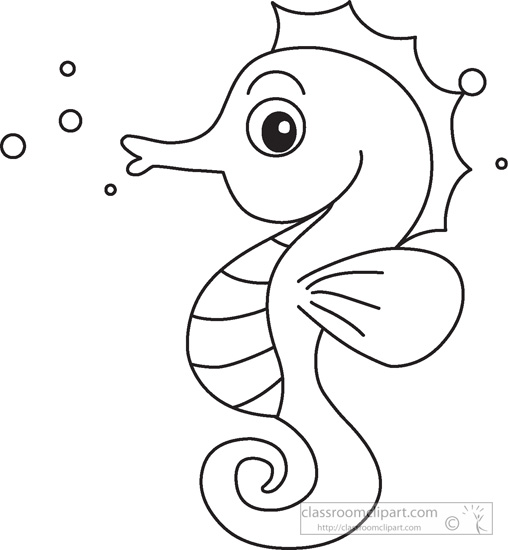 Seahorse on seahorses seahorse drawing and seahorse clip art
