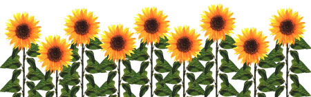 Free Sunflower Clipart Download Free Clip Art Free Clip Art On