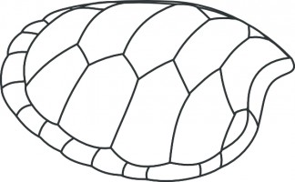 Turtle clip art at vector clip art 2