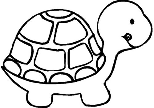Turtle clipart black and white