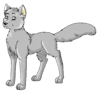 Wolf contest see how good you can all draw my clipart prizes