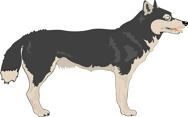 Wolf free to use clip art