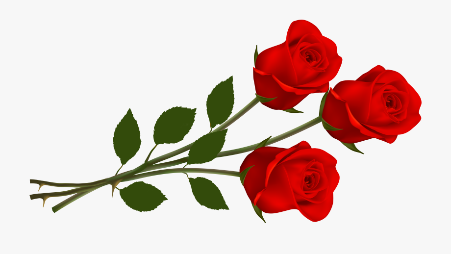 Clip Art Red Rose - Valentine Flowers Clip Art , Transparent.