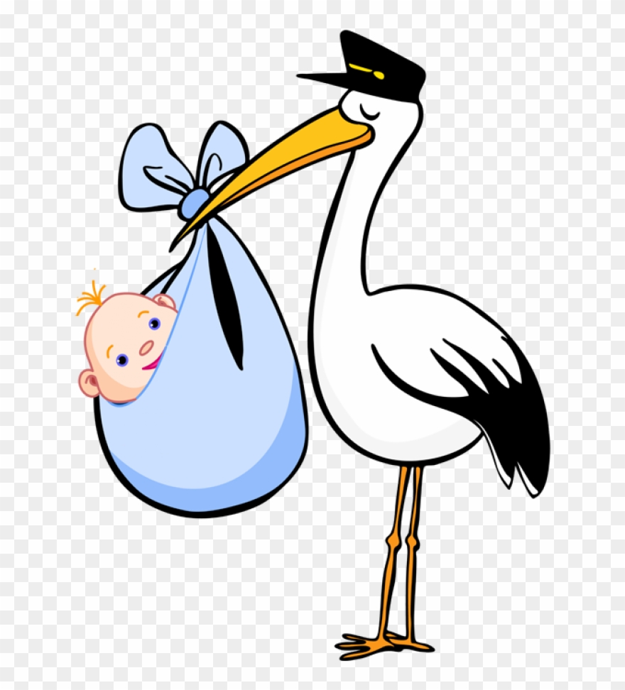Pix For Stork Baby Png - Stork Baby Clipart Transparent Png 