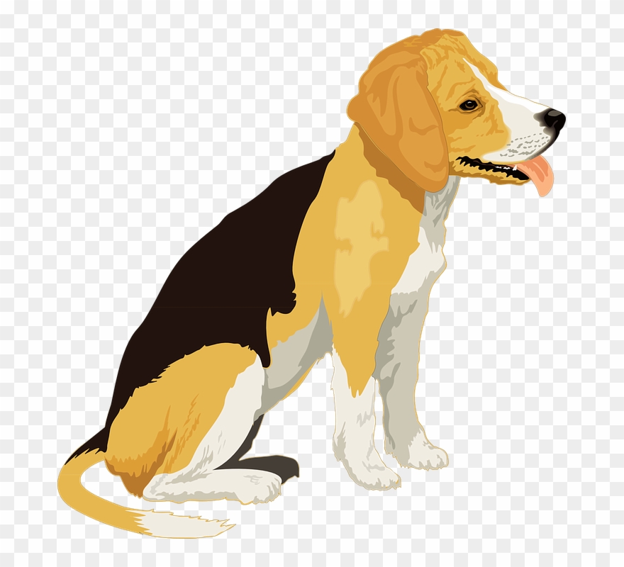 Real Dog Cliparts - Dog Free Clip Art - Png Download 