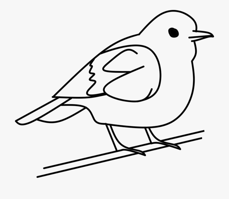 Simple Bird Clip Art Black And White : Bird Bird Clipart Black And