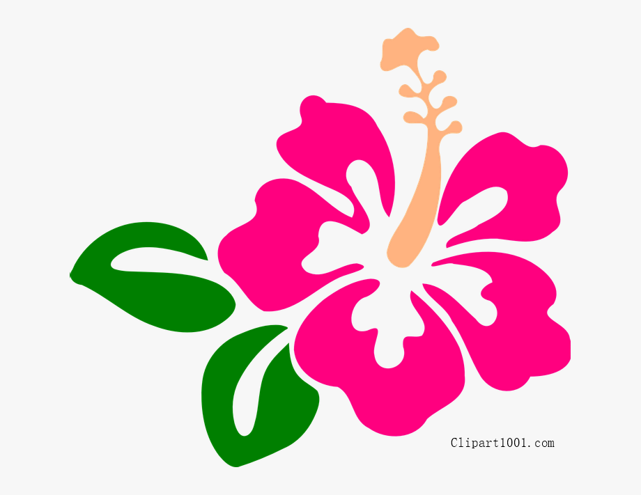 Free Printable Hawaiian Flowers Clip Art Library