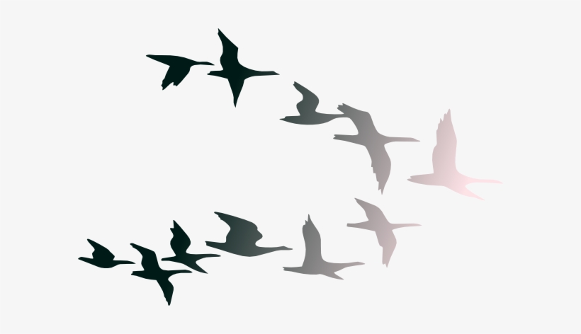 Clipart Images Of Birds Flying In Flight Clip Art At - Birds 