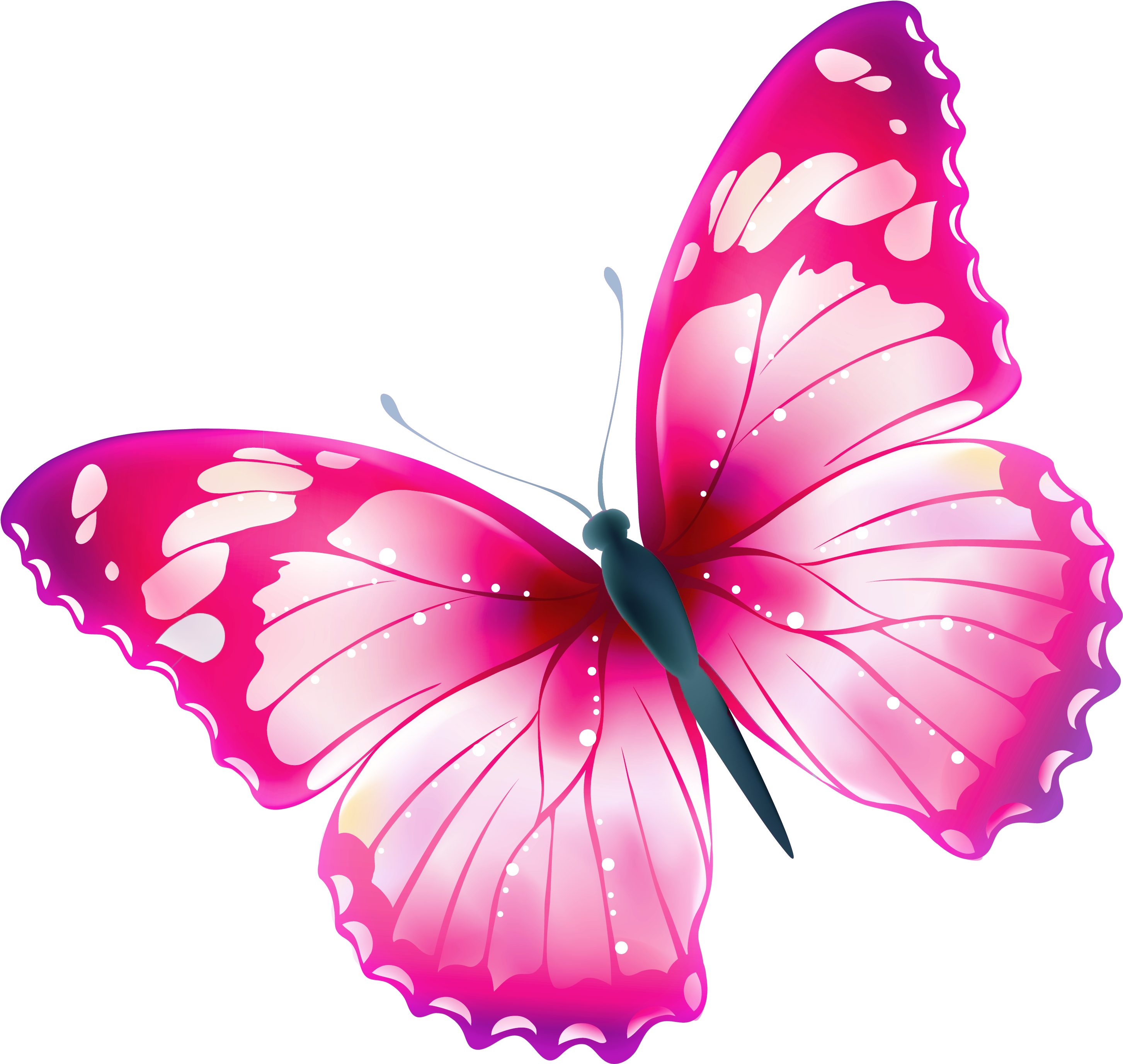 clip art butterfly transparent - Clip Art Library