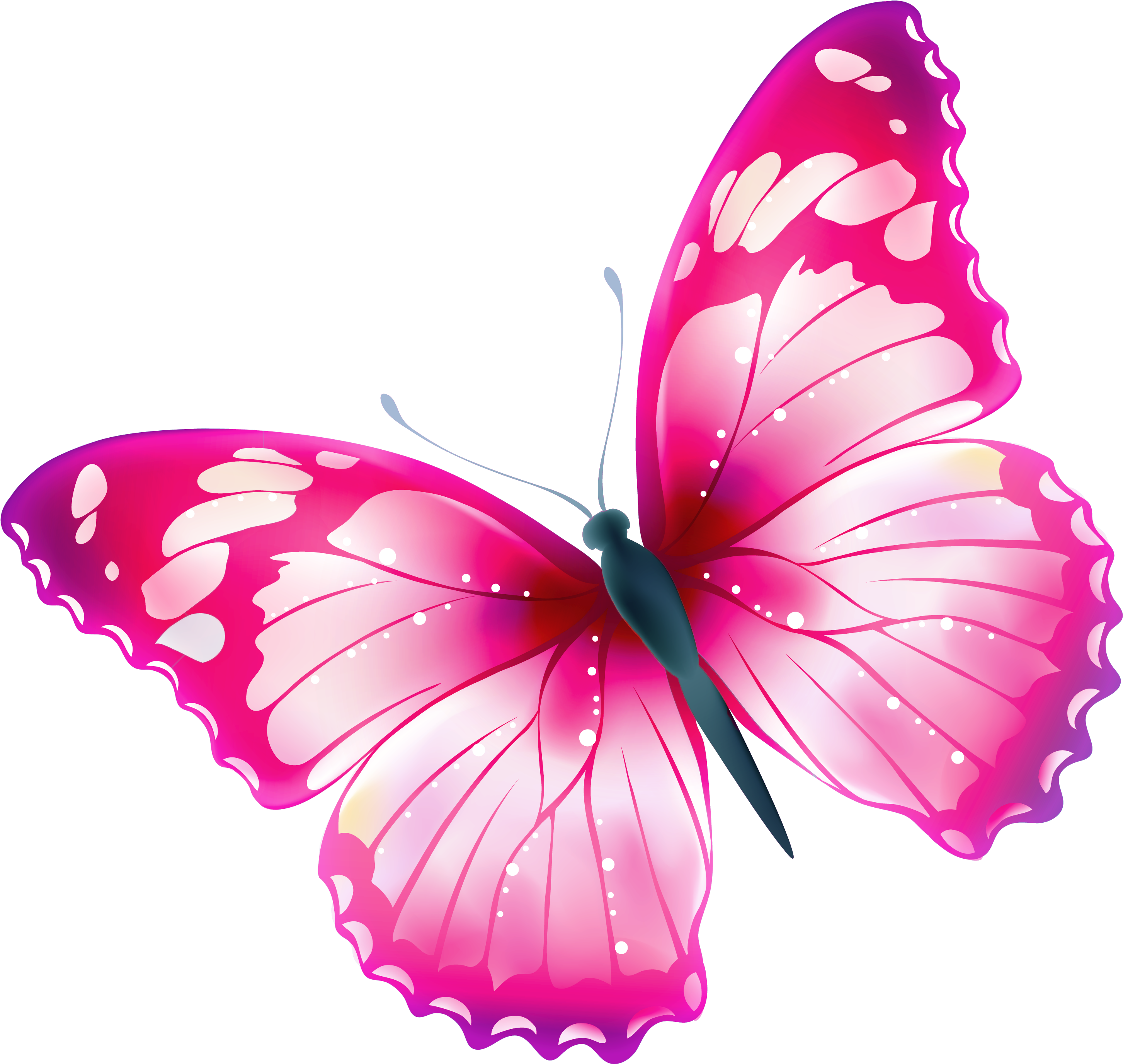 Clip Art Butterfly Transparent Clip Art Library