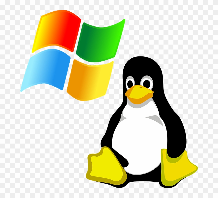 Microsoft Cliparts King - Simbolo De Un Pinguino - Png Download 
