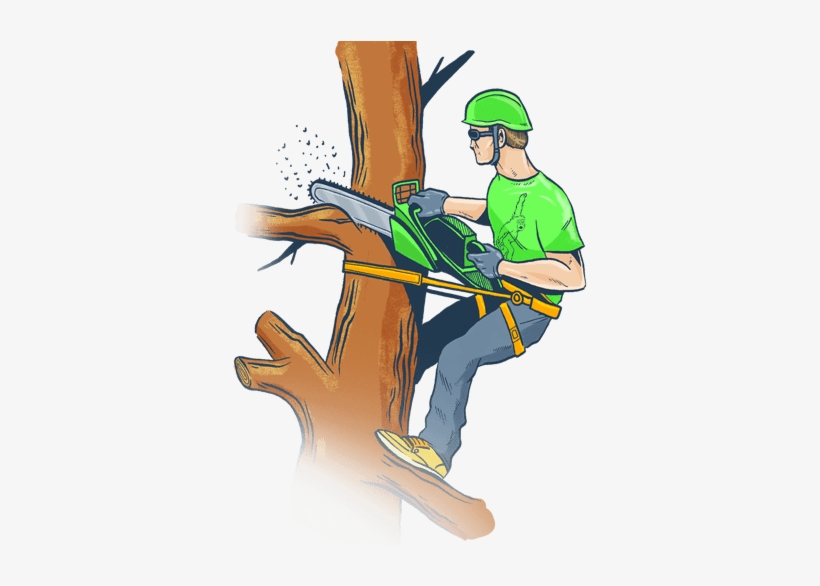 Tree Service Clip Art PNG Image | Transparent PNG Free Download