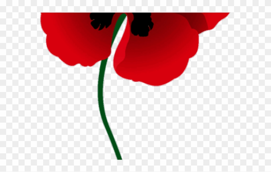 Free Red Poppy Cliparts, Download Free Red Poppy Cliparts png images