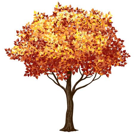 119 629 Autumn Tree Cliparts Stock Vector And Royalty Free 