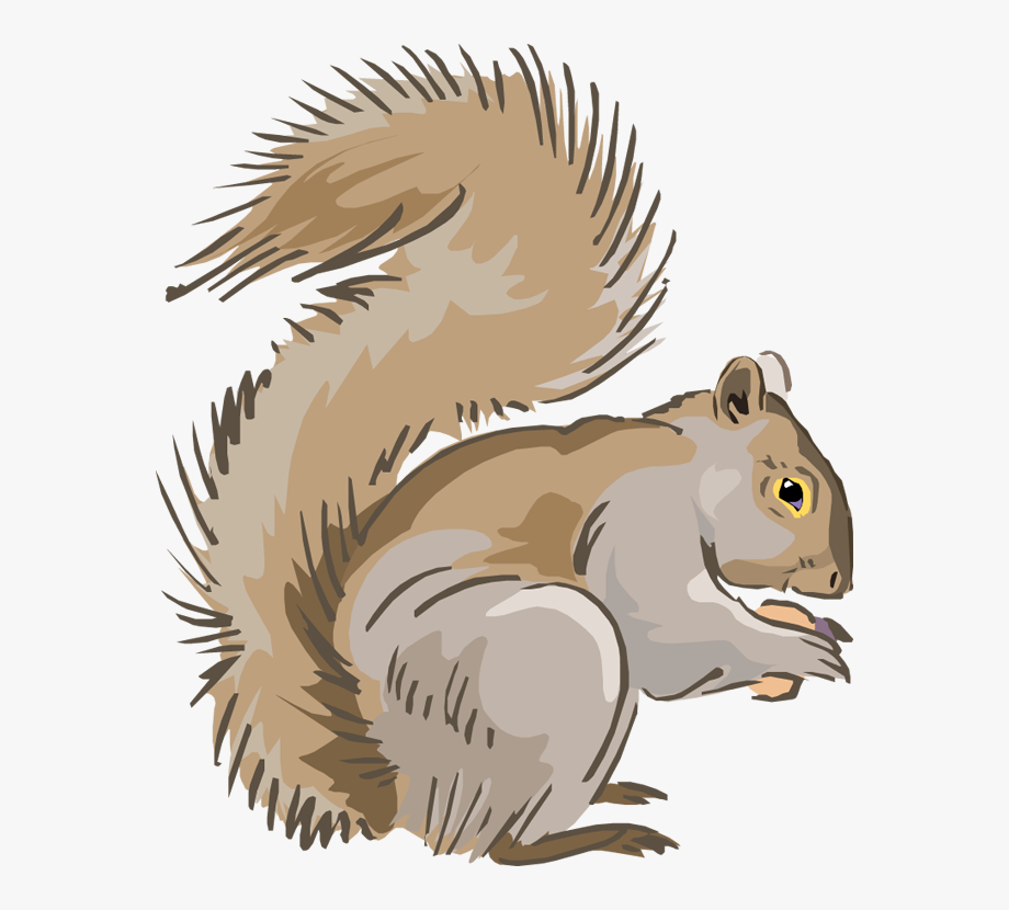 Clip Arts Related To : cute grey squirrel clipart. view all gray-squirrel-c...