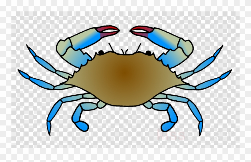 Chesapeake Blue Crab Clipart Dungeness Crab Clip Art - Blue Crab 