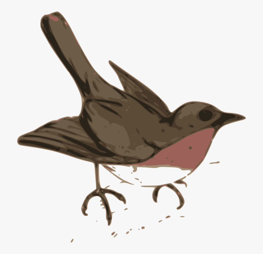 Bird Clip Art - Maya Bird Clip Art , Transparent Cartoon, Free 