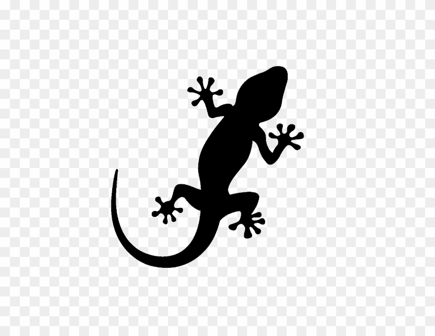 gecko clipart png - Clip Art Library