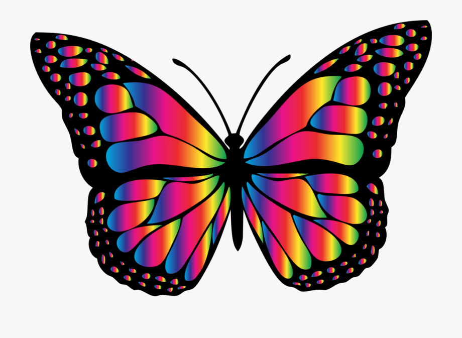Free Rainbow Butterfly Cliparts, Download Free Rainbow Butterfly