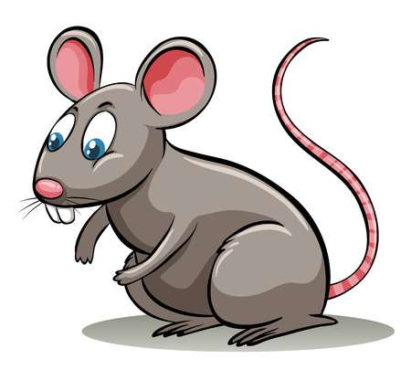 Free Rat Clipart, Download Free Rat Clipart png images, Free ClipArts