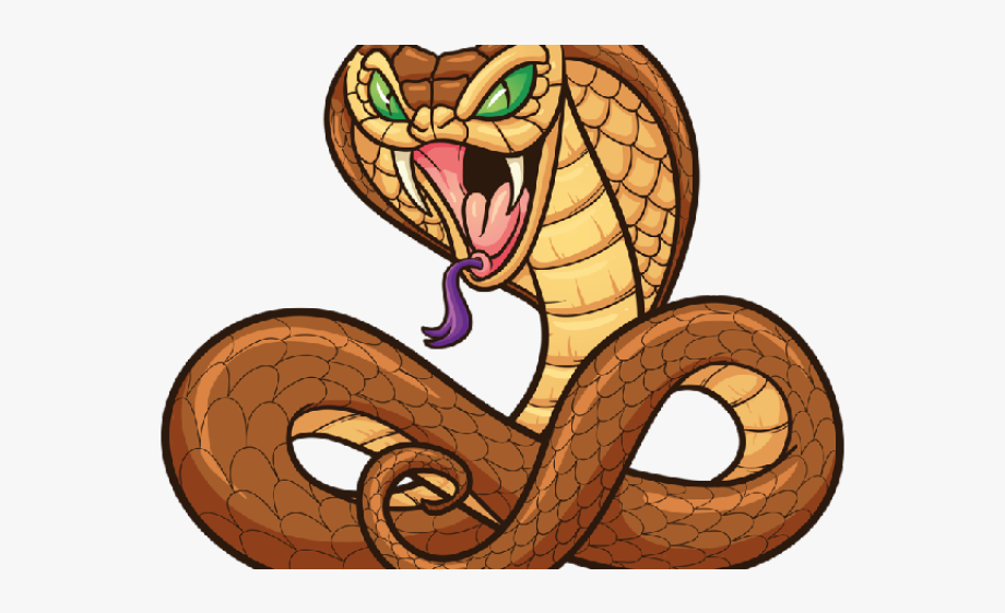 Rattlesnake Clipart Boa - Cobra Snake Cartoon , Transparent 