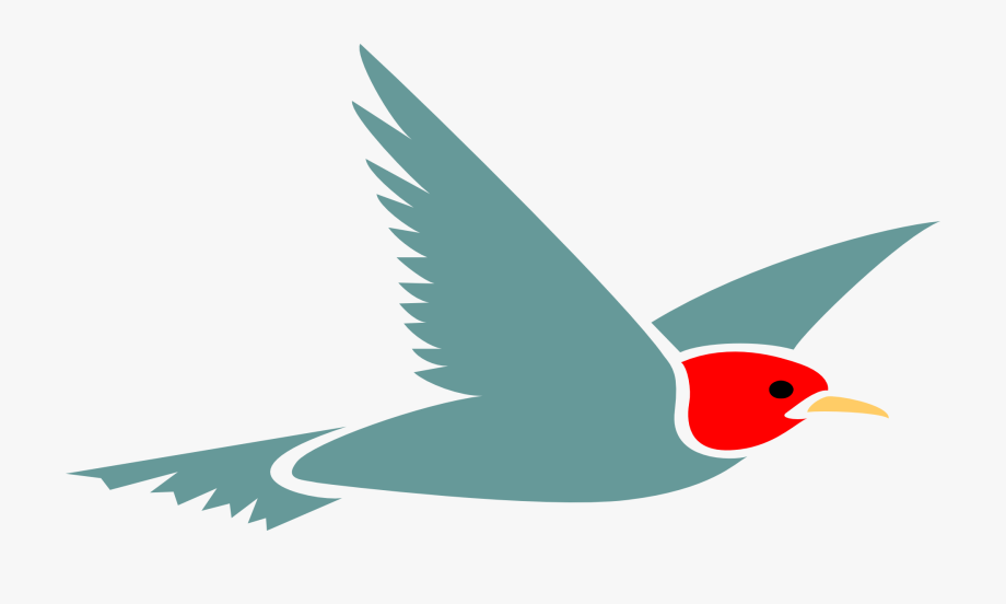 Free Airplane Clipart Images - Cartoon Bird Flying Transparent 