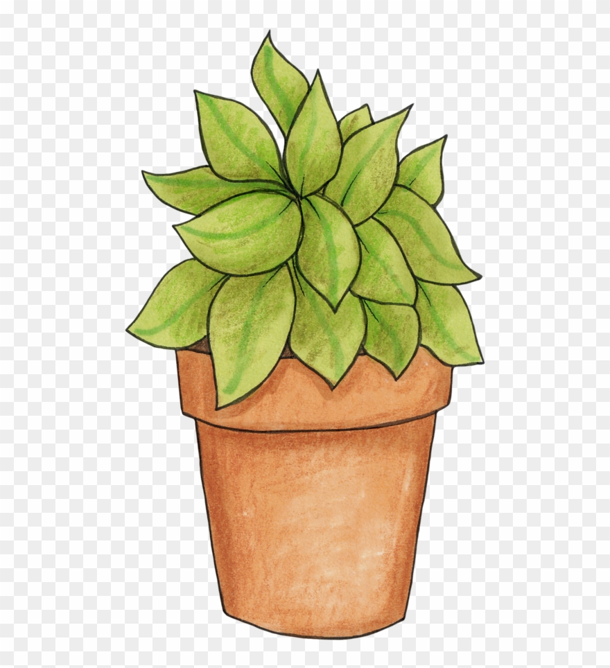 Free Potted Plant Cliparts, Download Free Potted Plant Cliparts png