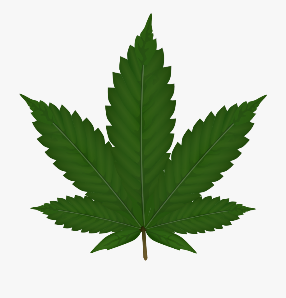 marihuana clipart