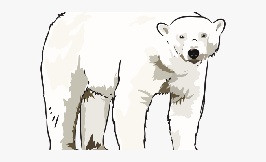 Free Polar Bear Clipart - Polar Bear Images Black And White 
