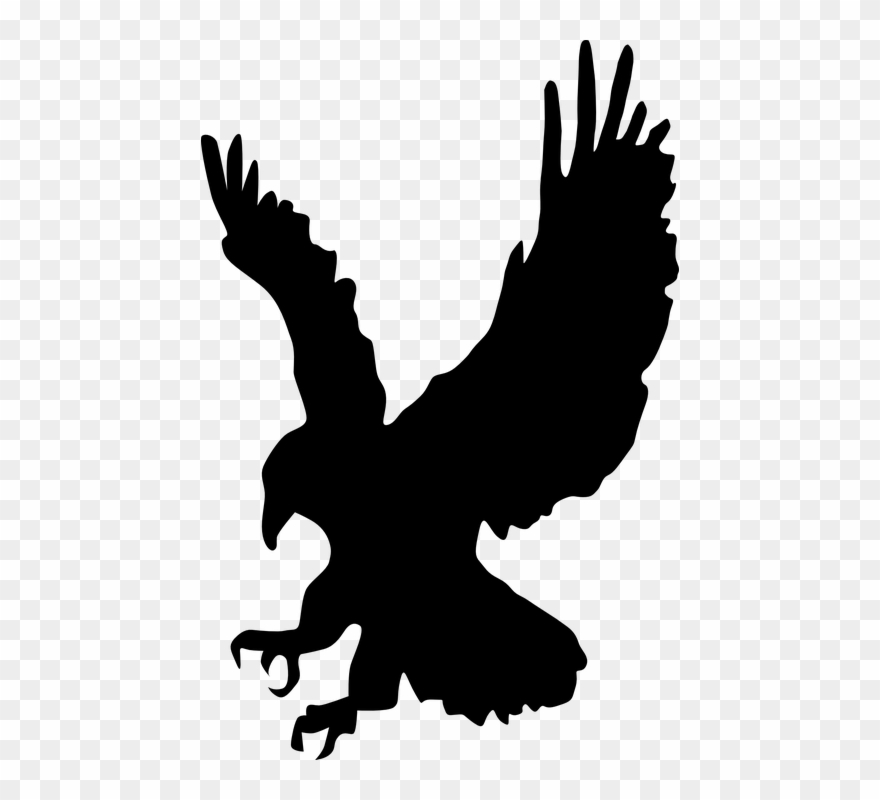 Eagle Flying Cliparts 16, Buy Clip Art - Hawk Clipart Black