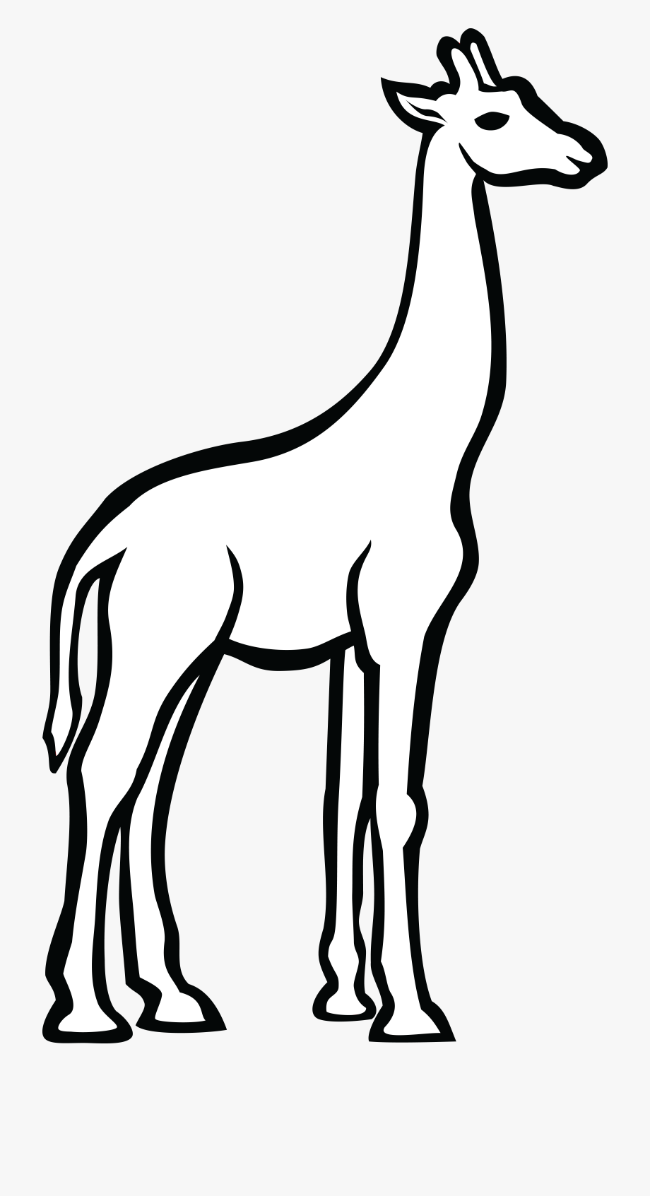 Free Clipart Of A Giraffe - Giraffe Line Drawing , Transparent 
