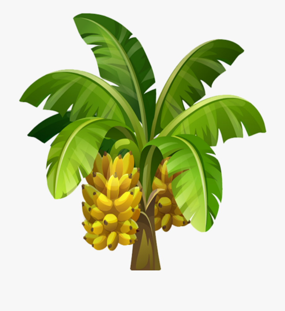 banana tree images hd - Clip Art Library