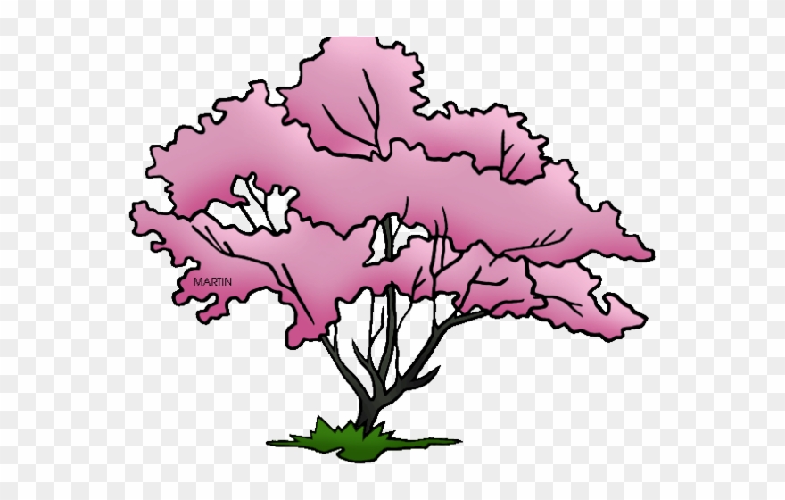 Pretty Clipart Dogwood Tree - Virginia State Tree Drawing - Png 