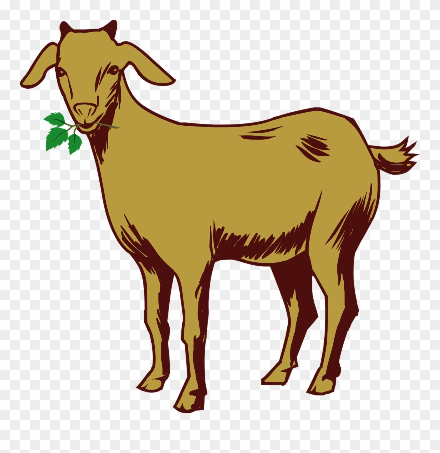 Free Goat Clipart 6, Buy Clip Art - Goat Drawing With Color - Png 