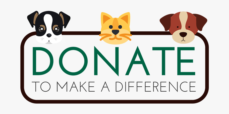 Donate To The Animal League No-kill Animal Rescue In - Animal 
