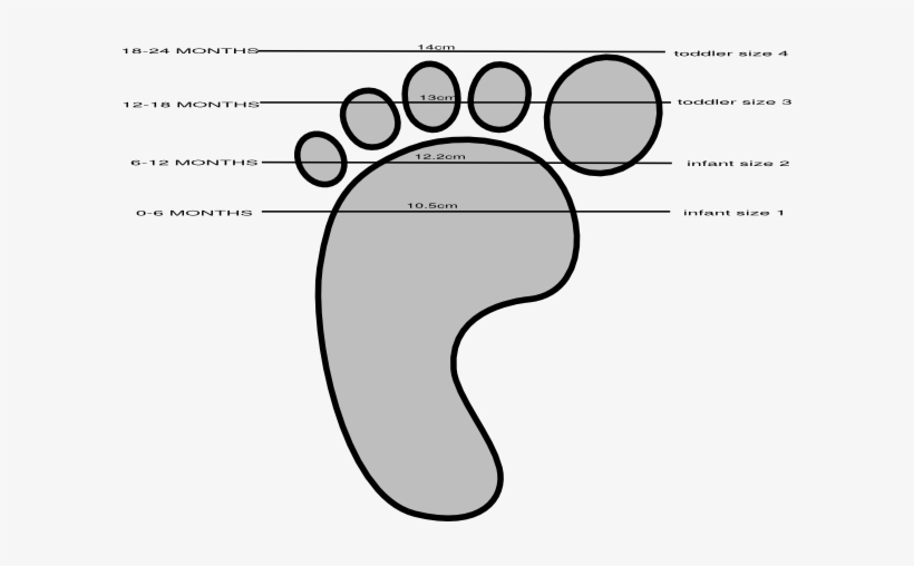 Dimensions Cliparts - Shoe Size Clipart -  PNG Download 
