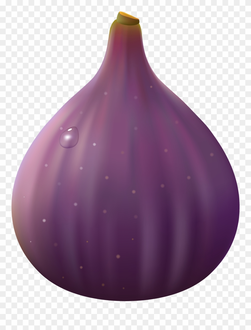 Free Fig Cliparts, Download Free Fig Cliparts png images, Free ClipArts