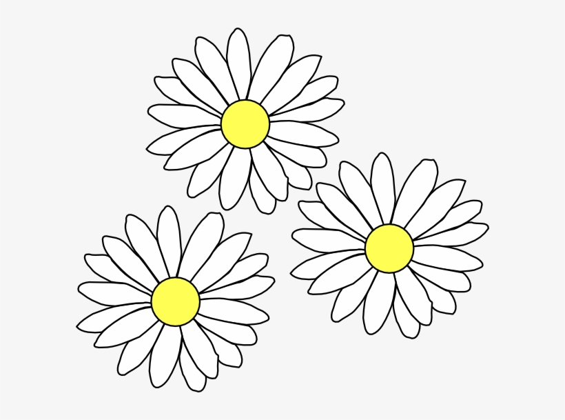 How To Set Use 3 Daisies Clipart -  PNG Download - PNGkit