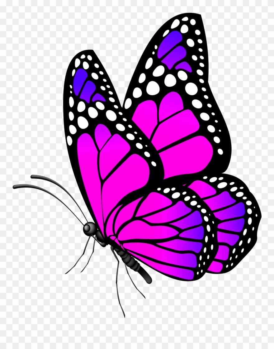 free-flowers-and-butterflies-clipart-download-free-flowers-and