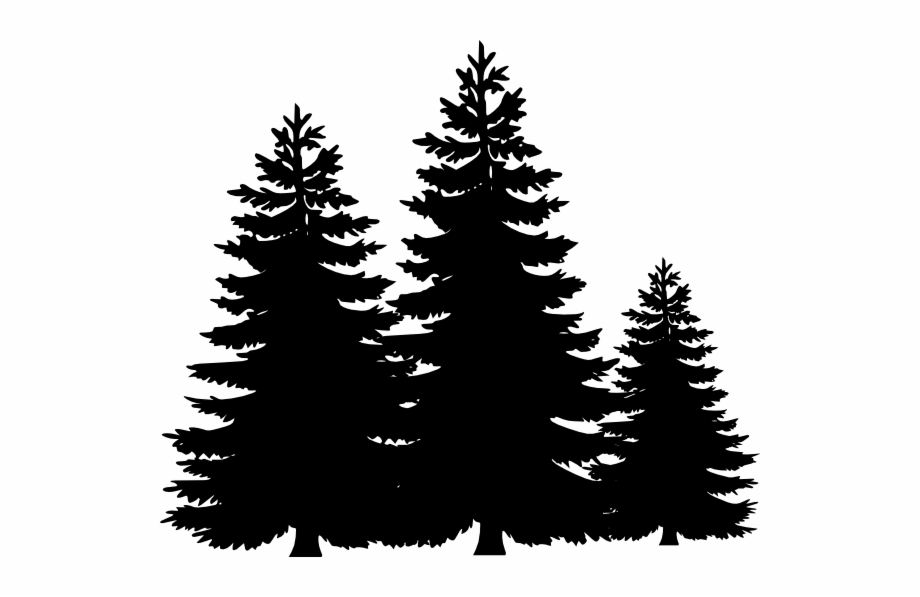 pine tree vector png - Clip Art Library
