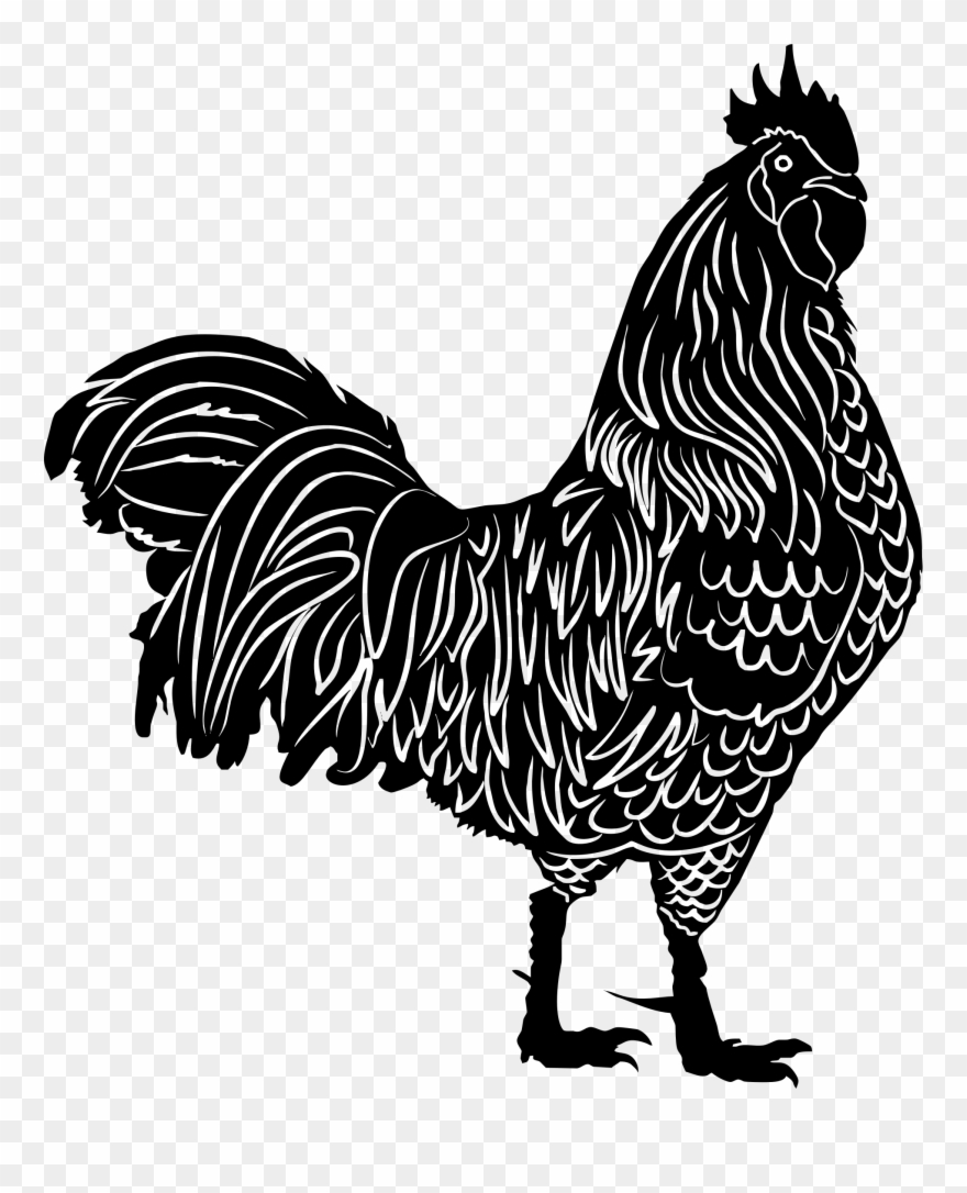 Clipart - Rooster Silhouette Clipart - Png Download 