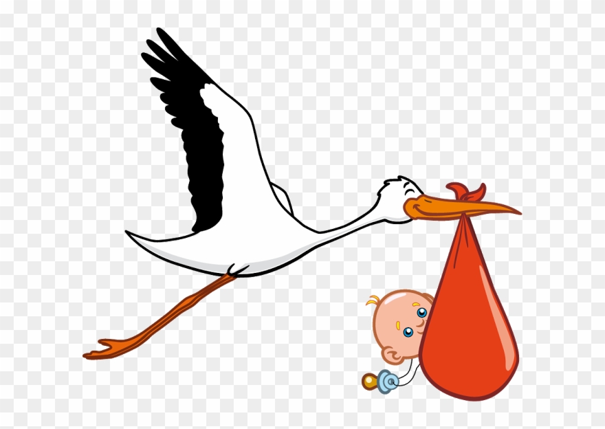 Storks Baby - Stork Carrying Baby Cartoon Clipart 