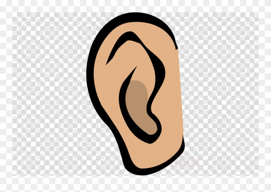 Free Ears Clipart, Download Free Ears Clipart png images, Free ClipArts