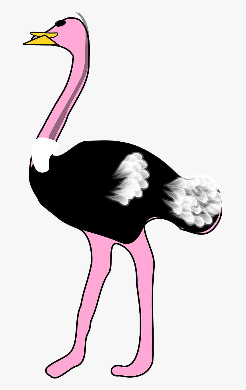 Free Ostrich Cliparts Download Free Ostrich Cliparts Png Images Free