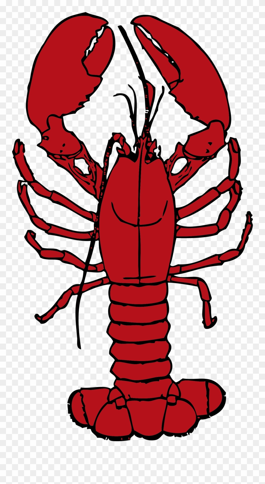 Clip Library Library Crawfish Clipart Boil - Lobster Clipart - Png 