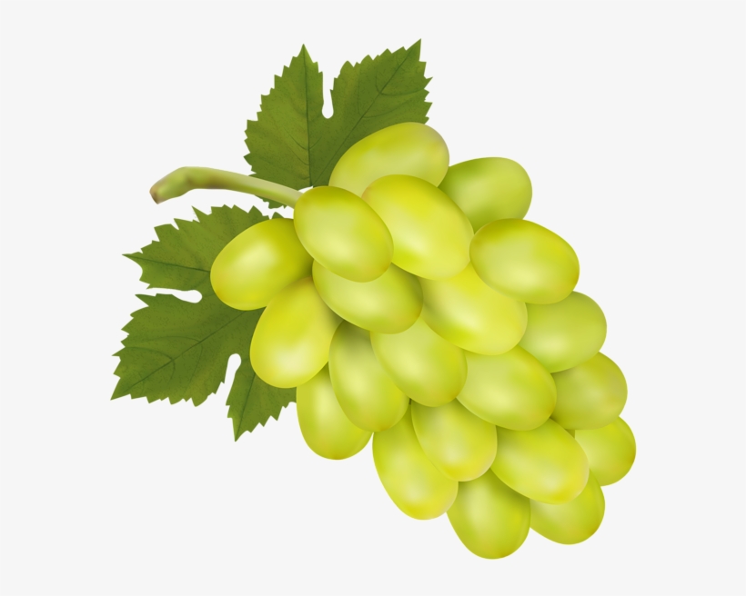 White Grape Png Clip Art Image - Green Grapes Clip Art Transparent 