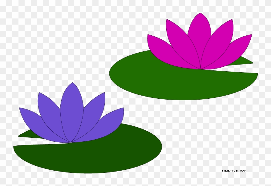 Go Back Gallery For Lily Pad Flower Clipart - Water Lily Clipart 